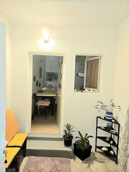 Blue Horizon Apartments 두브로브니크 외부 사진